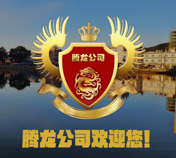 腾龙公司总部